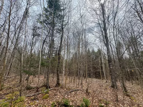 lot25 Woodland Ridge Rd, Danforth, ME 04424 photo 6