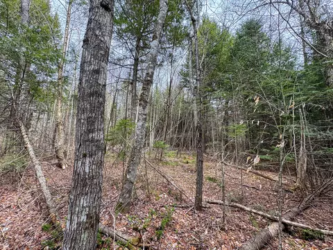 lot25 Woodland Ridge Rd, Danforth, ME 04424 photo 11