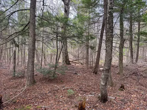 lot25 Woodland Ridge Rd, Danforth, ME 04424 photo 13
