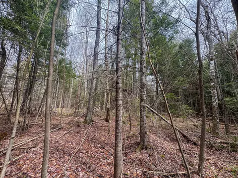 lot25 Woodland Ridge Rd, Danforth, ME 04424 photo 9