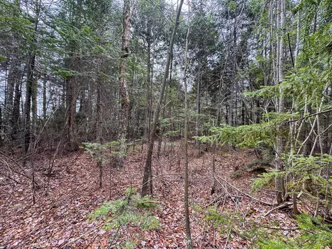 lot25 Woodland Ridge Rd, Danforth, ME 04424 photo 10