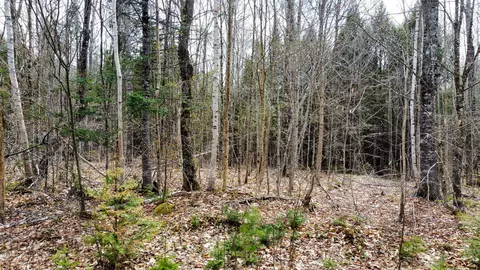 lot25 Woodland Ridge Rd, Danforth, ME 04424 photo 18