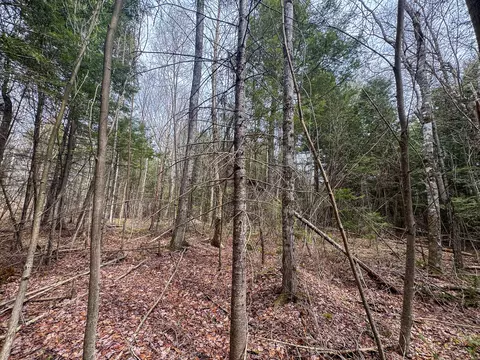 lot25 Woodland Ridge Rd, Danforth, ME 04424 photo 9