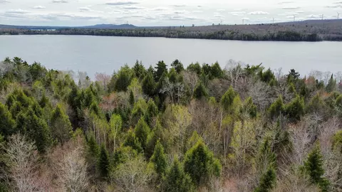 lot25 Woodland Ridge Rd, Danforth, ME 04424 photo 4