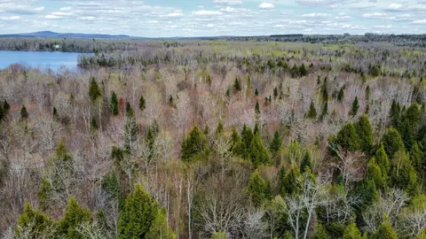 lot25 Woodland Ridge Rd, Danforth, ME 04424 photo 2