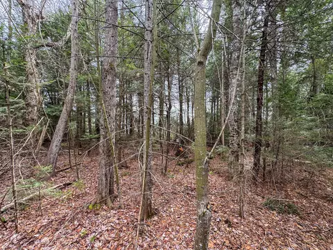 lot25 Woodland Ridge Rd, Danforth, ME 04424 photo 12