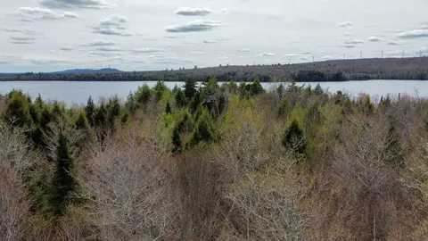 lot25 Woodland Ridge Rd, Danforth, ME 04424 photo 5