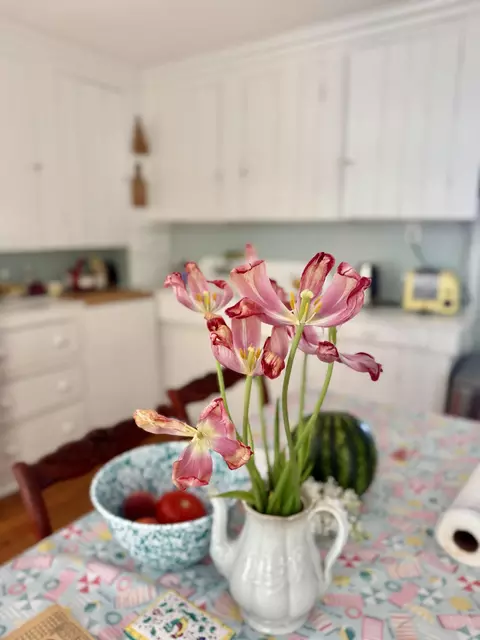 Kitchen - 7 Mountain St, Vinalhaven, ME 04863 photo 6 of 6