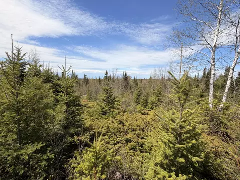 76 Morancy Rd, Sullivan, ME 04664 photo 6