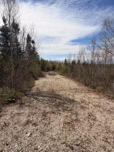 76 Morancy Rd, Sullivan, ME 04664 photo 3