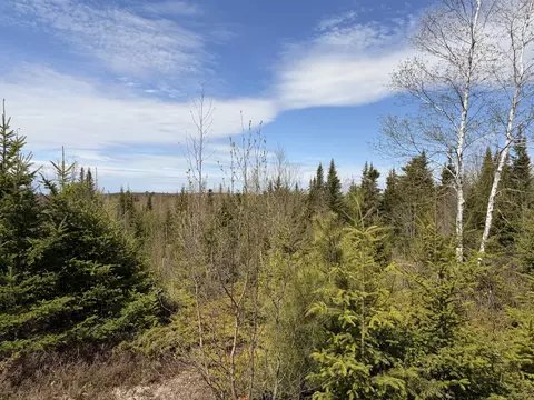 76 Morancy Rd, Sullivan, ME 04664 photo 4