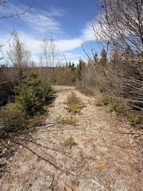 76 Morancy Rd, Sullivan, ME 04664 photo 2