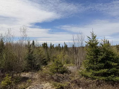 76 Morancy Rd, Sullivan, ME 04664