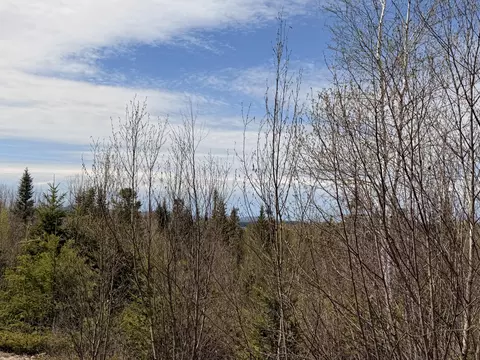 76 Morancy Rd, Sullivan, ME 04664 photo 8