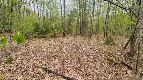 lot019 Olivewood Cir, Wilton, ME 04294
