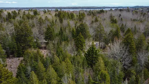 58 High Head Rd, East Machias, ME 04630