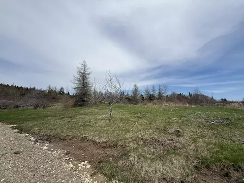 lot3 Holmes Bay Farms Rd, Whiting, ME 04691