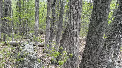 lot Apt 042 Tower Rd #M 005 L 042, Vienna, ME 04360