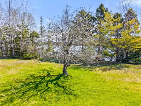 Other - 372 Rays Point Rd, Milbridge, ME 04658 photo 4 of 6