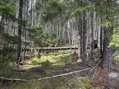 lot6 Holmes Bay Farms Rd, Whiting, ME 04691
