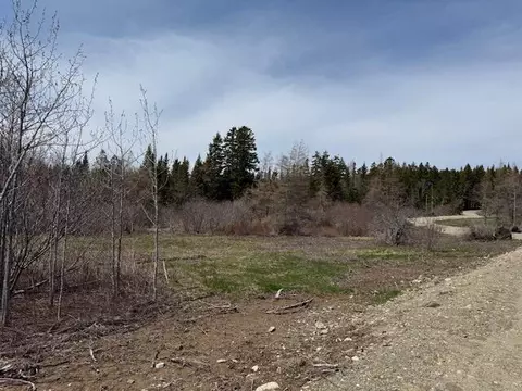 lot5 Holmes Bay Farms Rd, Whiting, ME 04691