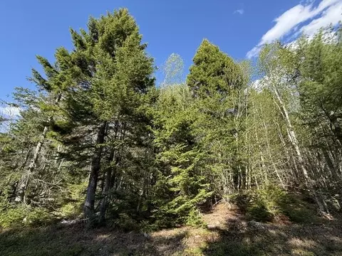 lot13 Pidgeon Point Rd, Whiting, ME 04691