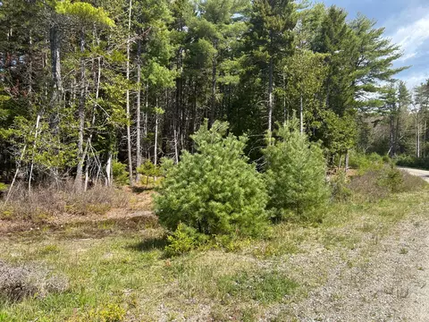7 Blagden Ln, Bar Harbor, ME 04609