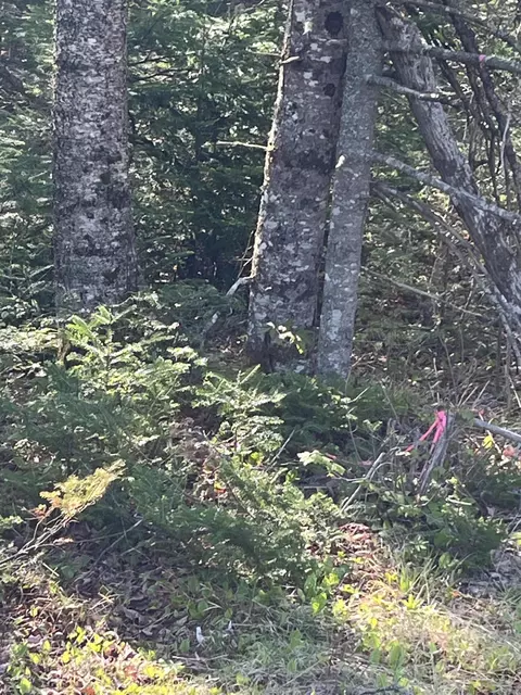 lot14 W Bay Rd, Gouldsboro, ME 04607