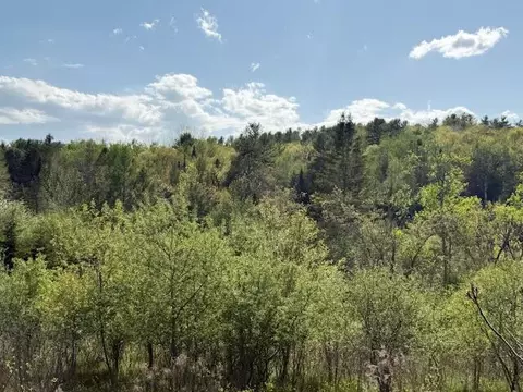 0 Brookside Rd, Orland, ME 04472