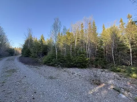 lot009 Off Of Reynolds Brook Rd, Whiting, ME 04691 photo 9
