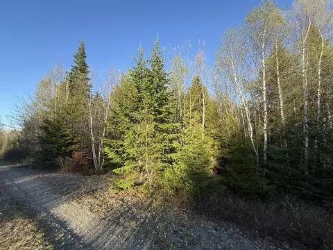 lot009 Off Of Reynolds Brook Rd, Whiting, ME 04691 photo 6