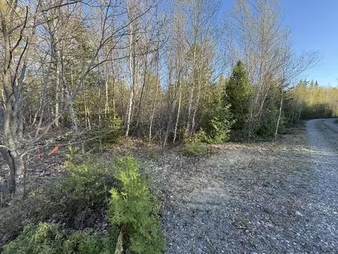 lot009 Off Of Reynolds Brook Rd, Whiting, ME 04691 photo 13