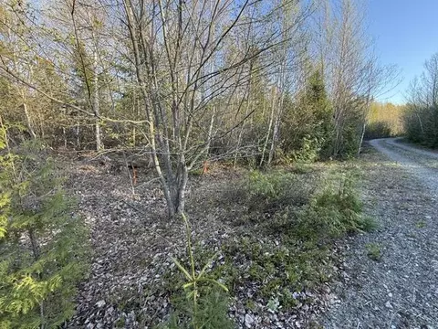 lot009 Off Of Reynolds Brook Rd, Whiting, ME 04691 photo 15