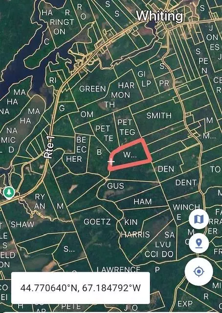 lot009 Off Of Reynolds Brook Rd, Whiting, ME 04691 photo 3