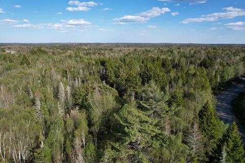 lot009 Off Of Reynolds Brook Rd, Whiting, ME 04691