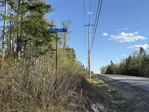 lot009 Off Of Reynolds Brook Rd, Whiting, ME 04691 photo 16