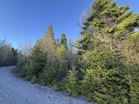 lot009 Off Of Reynolds Brook Rd, Whiting, ME 04691 photo 8