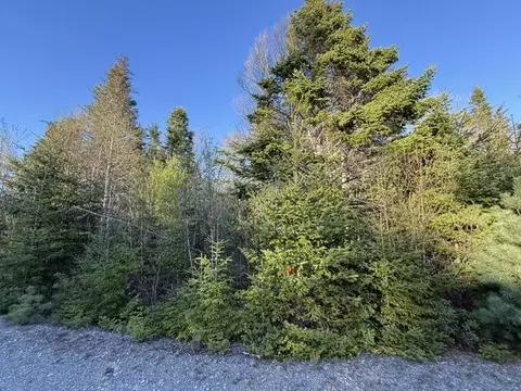 lot009 Off Of Reynolds Brook Rd, Whiting, ME 04691 photo 4