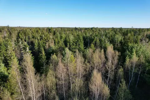 lot009 Off Of Reynolds Brook Rd, Whiting, ME 04691 photo 2
