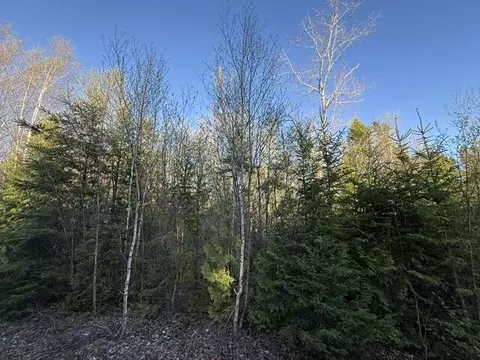 lot009 Off Of Reynolds Brook Rd, Whiting, ME 04691 photo 10