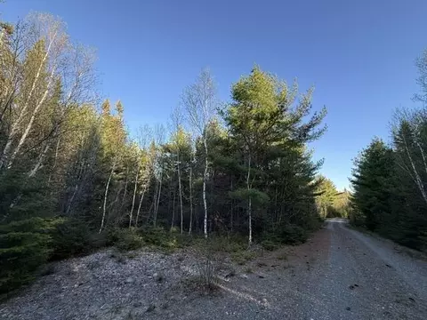 lot009 Off Of Reynolds Brook Rd, Whiting, ME 04691 photo 14