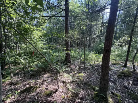 L24 Poplar Ridge Drive, Falmouth, ME 04105