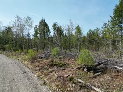 lot1 Mattamiscontis Rd, Howland, ME 04448