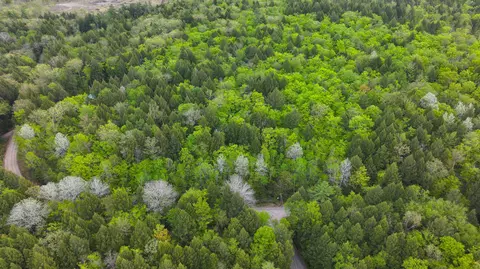 Mu42 L50 Timber Bay Shores Road, Lovell, ME 04051