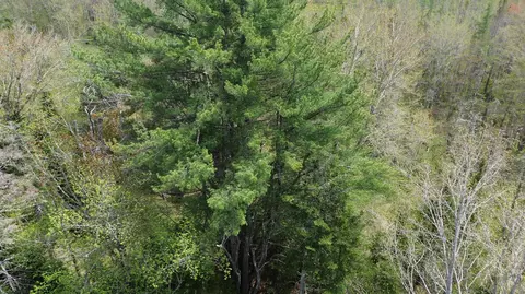 365 Cushing Rd, Cushing, ME 04563 photo 31
