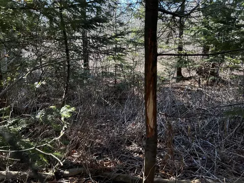365 Cushing Rd, Cushing, ME 04563 photo 8
