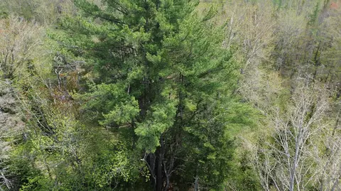 365 Cushing Rd, Cushing, ME 04563 photo 7