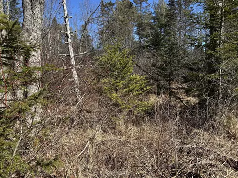 365 Cushing Rd, Cushing, ME 04563 photo 25