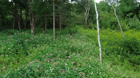 365 Cushing Rd, Cushing, ME 04563