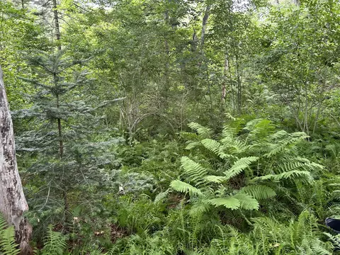 365 Cushing Rd, Cushing, ME 04563 photo 23